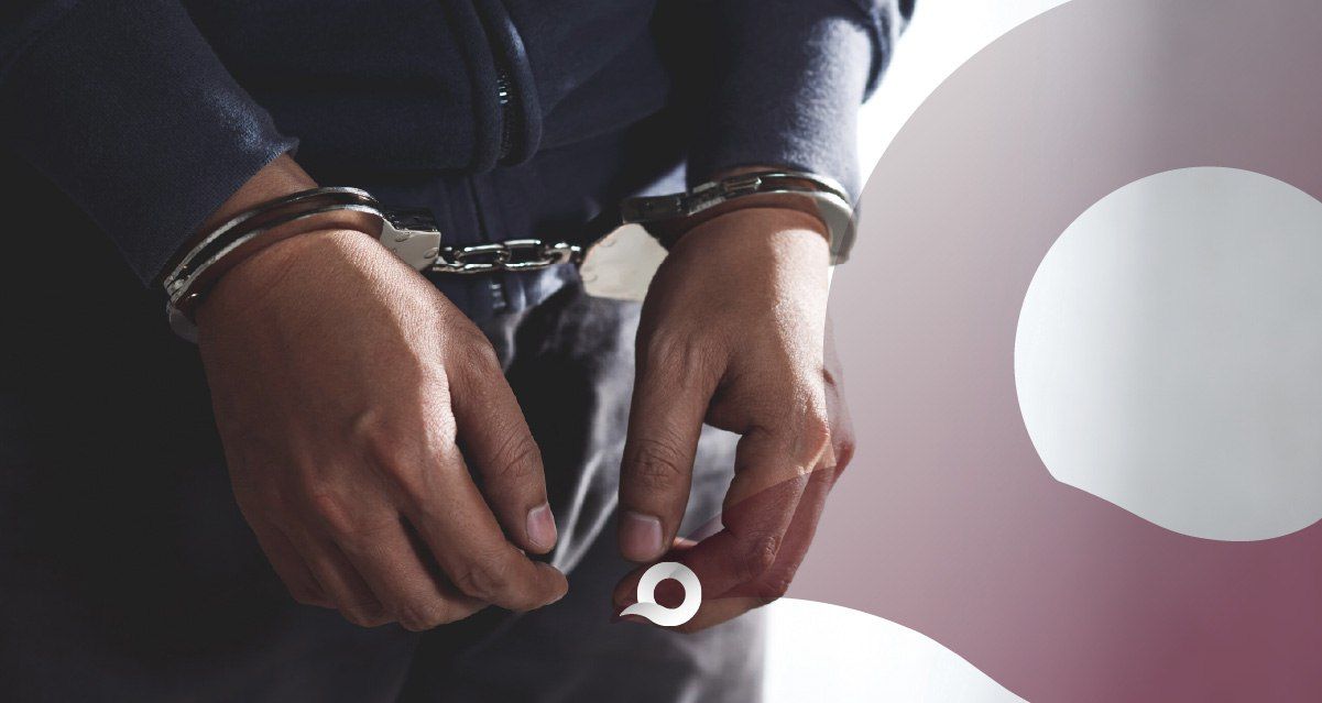 Cateos en Hidalgo dejan seis detenidos y rescate de 29 perros en operativo contra narcomenudeo