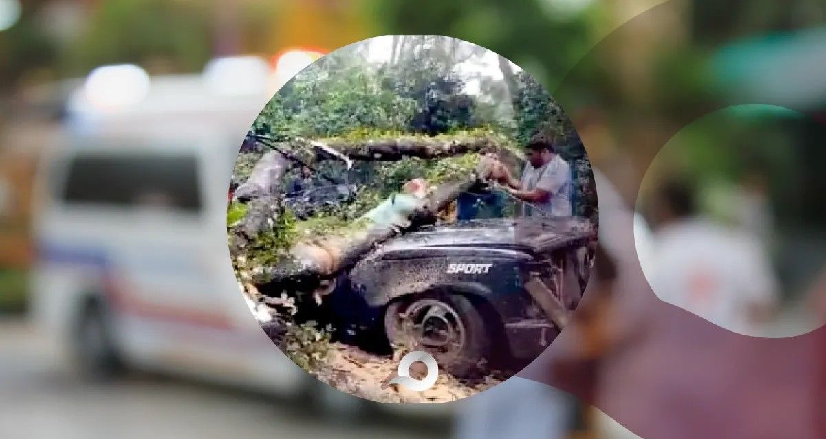 Fallecen 2 personas en Acaxochitlán por caída de árbol